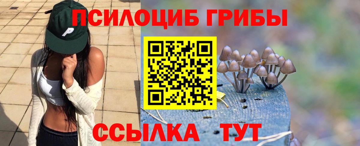 Псилоцибиновые грибы Cubensis  Галлюциногенные грибы мухоморы  Фрязино  Вход с VPN 